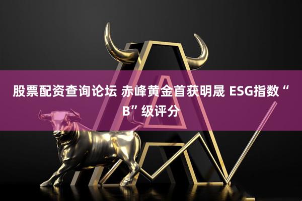 股票配资查询论坛 赤峰黄金首获明晟 ESG指数“B”级评分