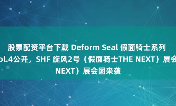 股票配资平台下载 Deform Seal 假面骑士系列 威化 Vol.4公开，SHF 旋风2号（假面骑士THE NEXT）展会图来袭